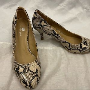 Tan Snake Skin Kitten Heel